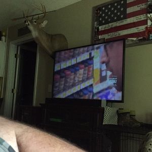 Meet your Posher, Robby